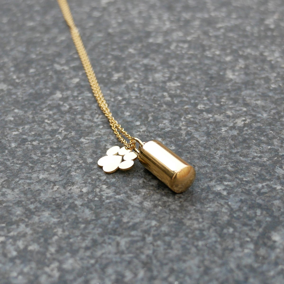 gouden as ketting hond