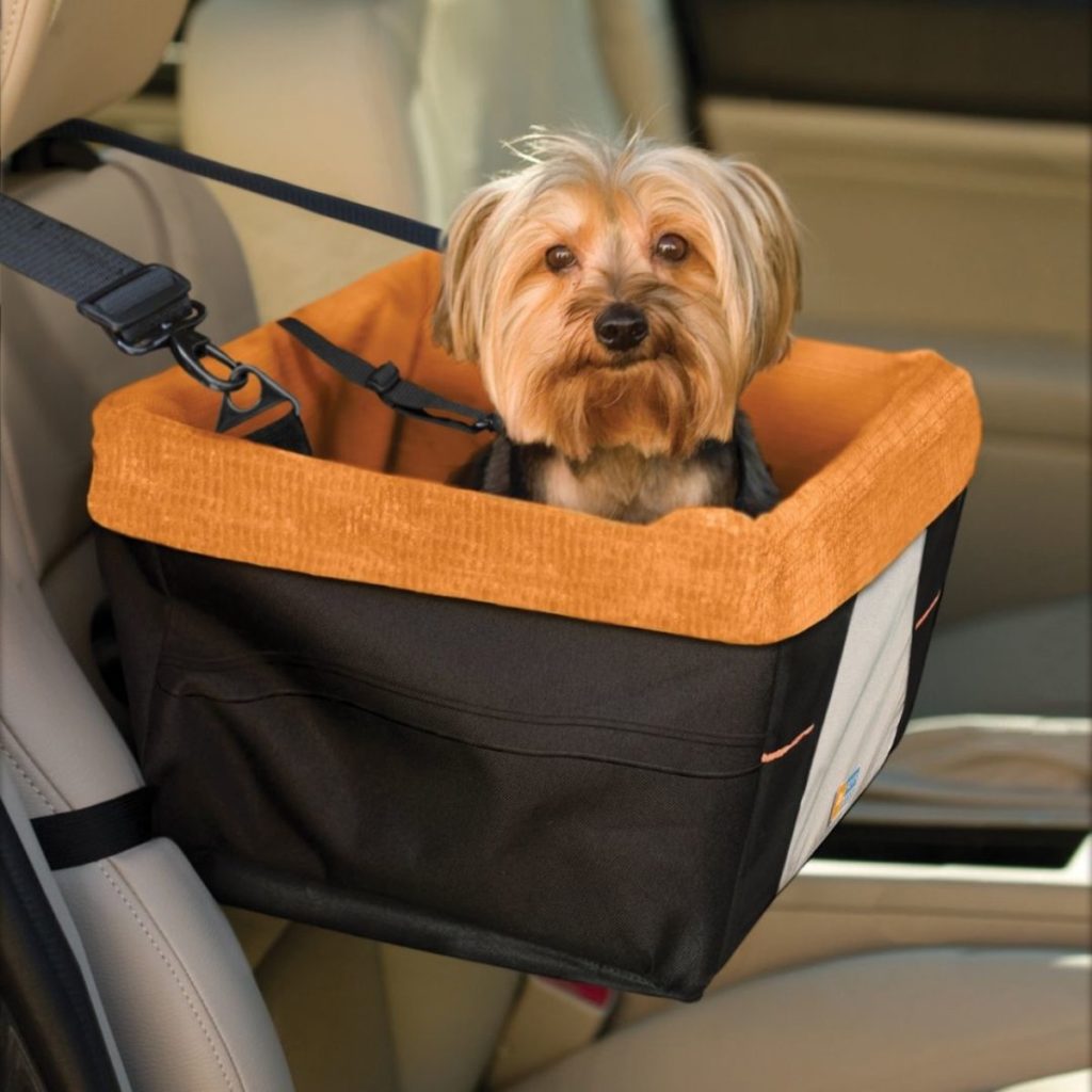 autostoel voor hond met uitzicht
