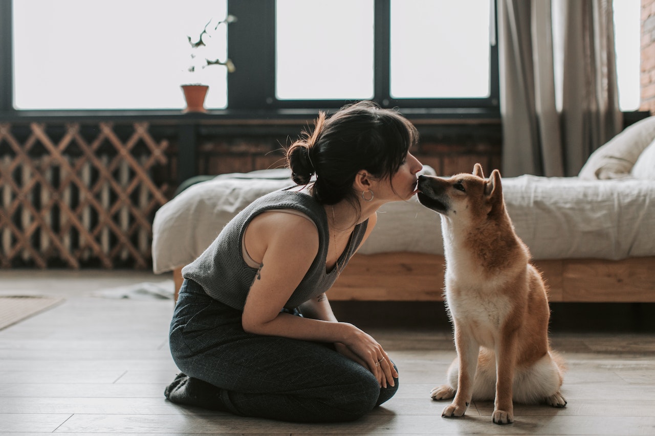 hond stinkt uit bek