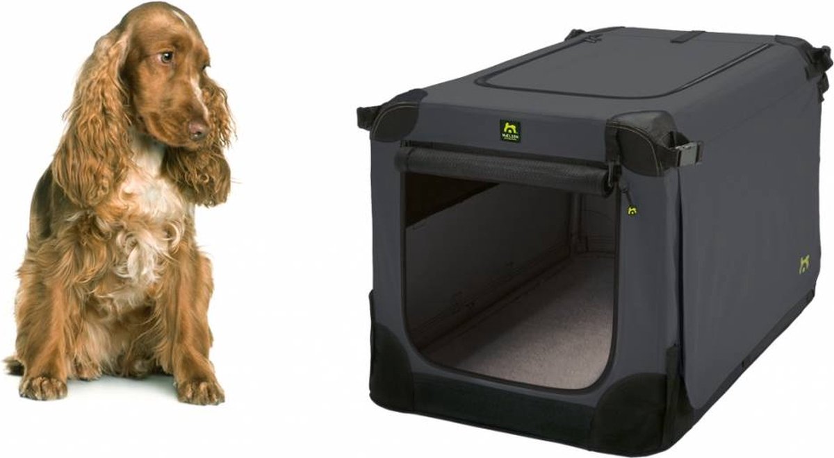 Beste transportbox voor honden