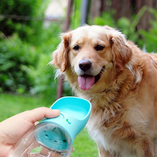 beste drinkfles voor honden