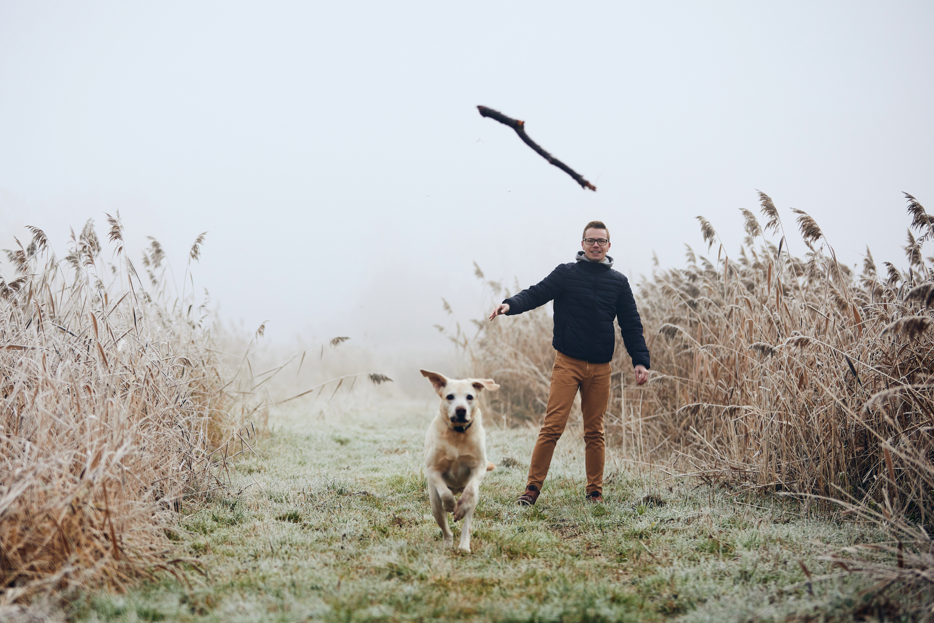 De beste werpstok voor honden