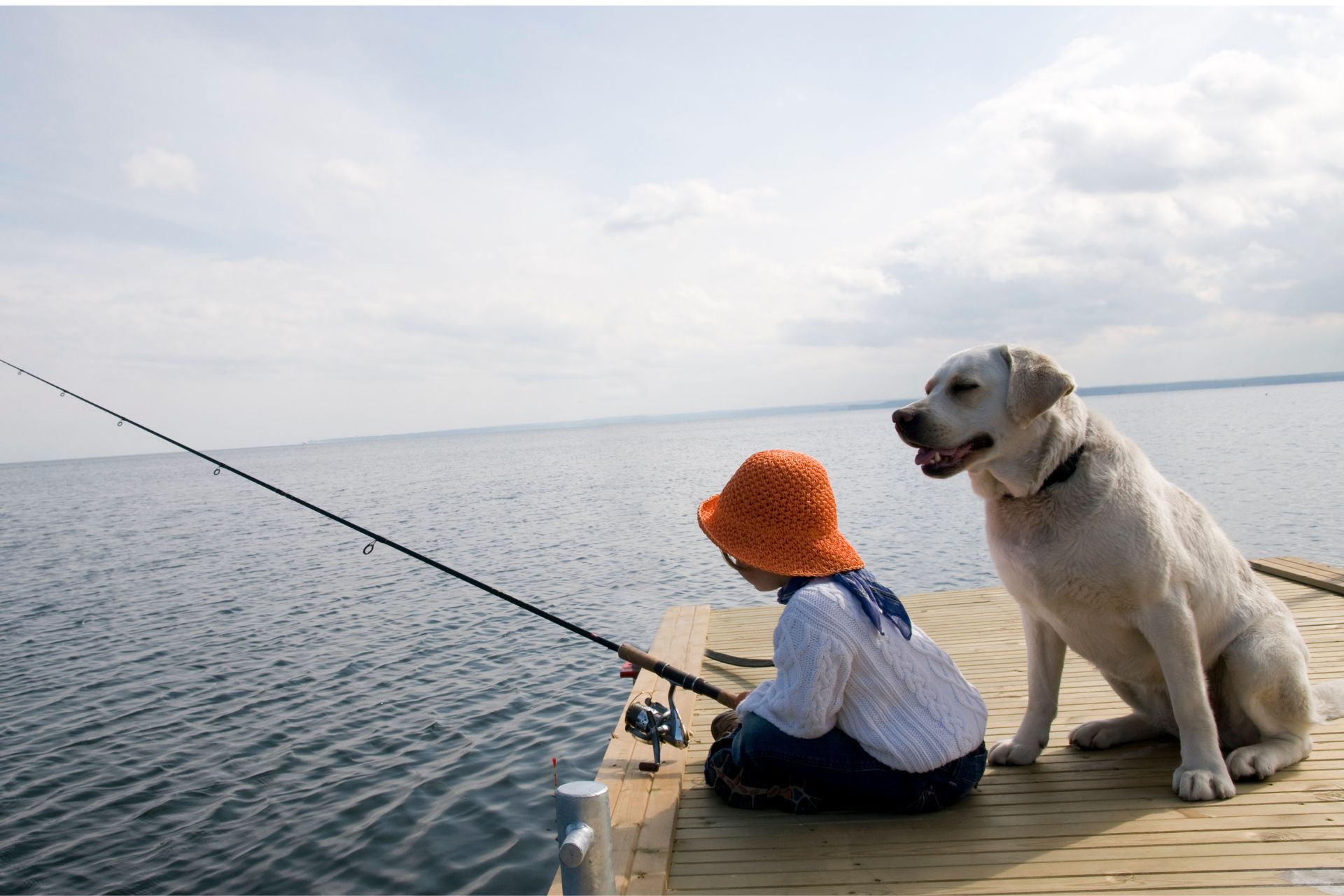 Visvakantie met hond in Nederland