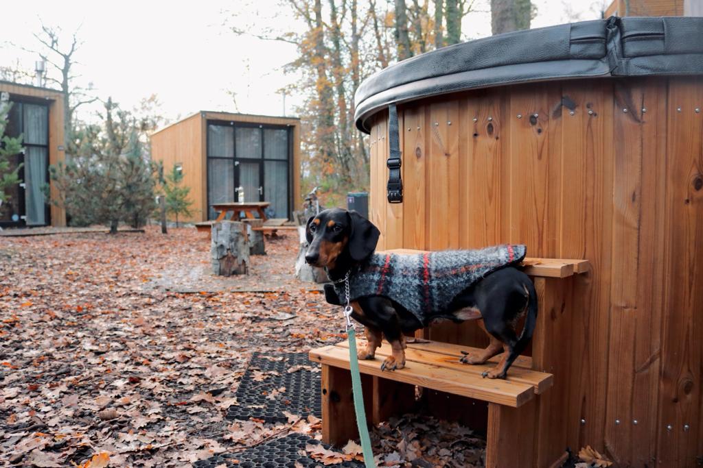 tiny house met hottub met hond