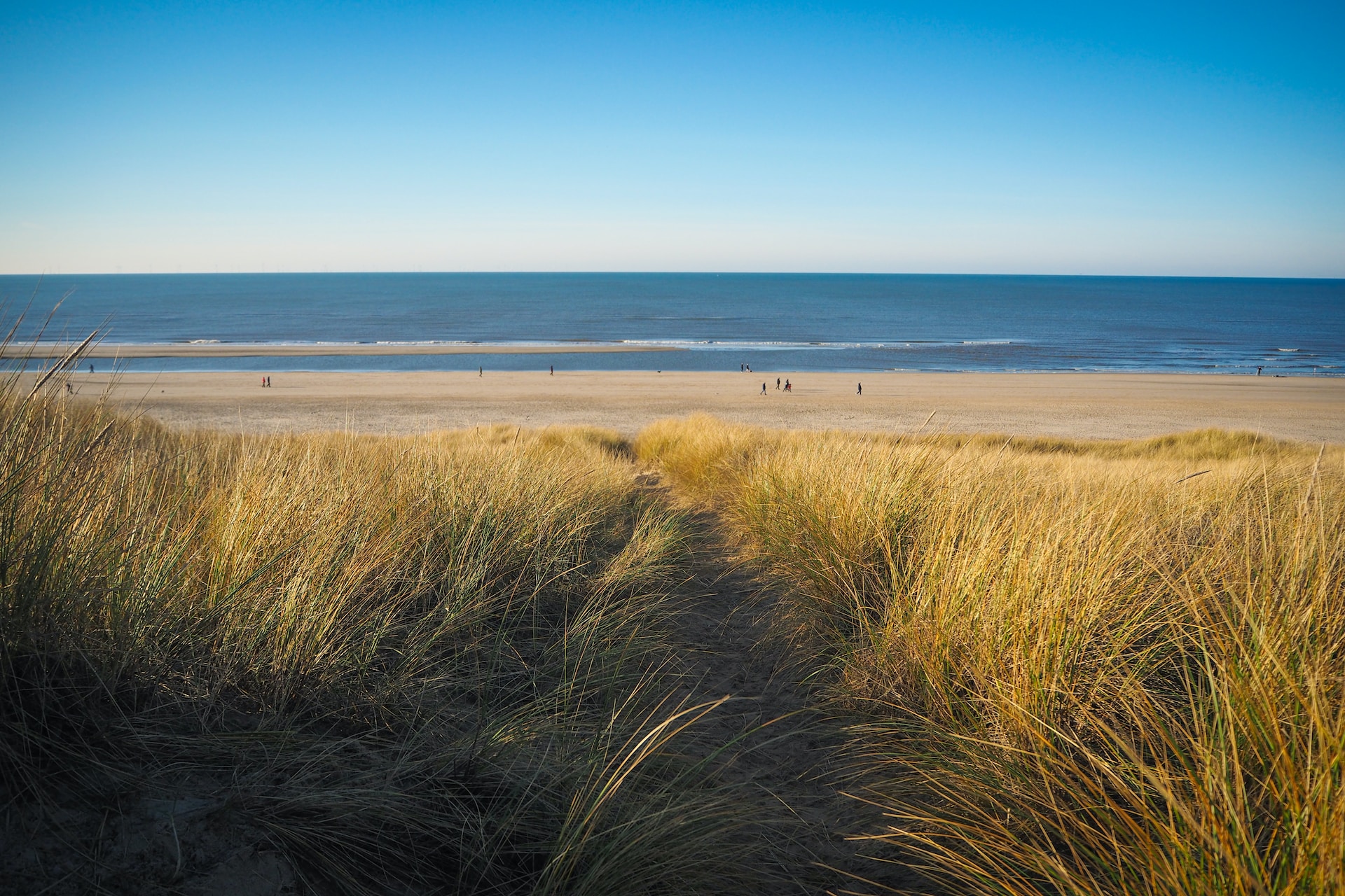 Beste hondvriendelijke hotels egmond aan zee