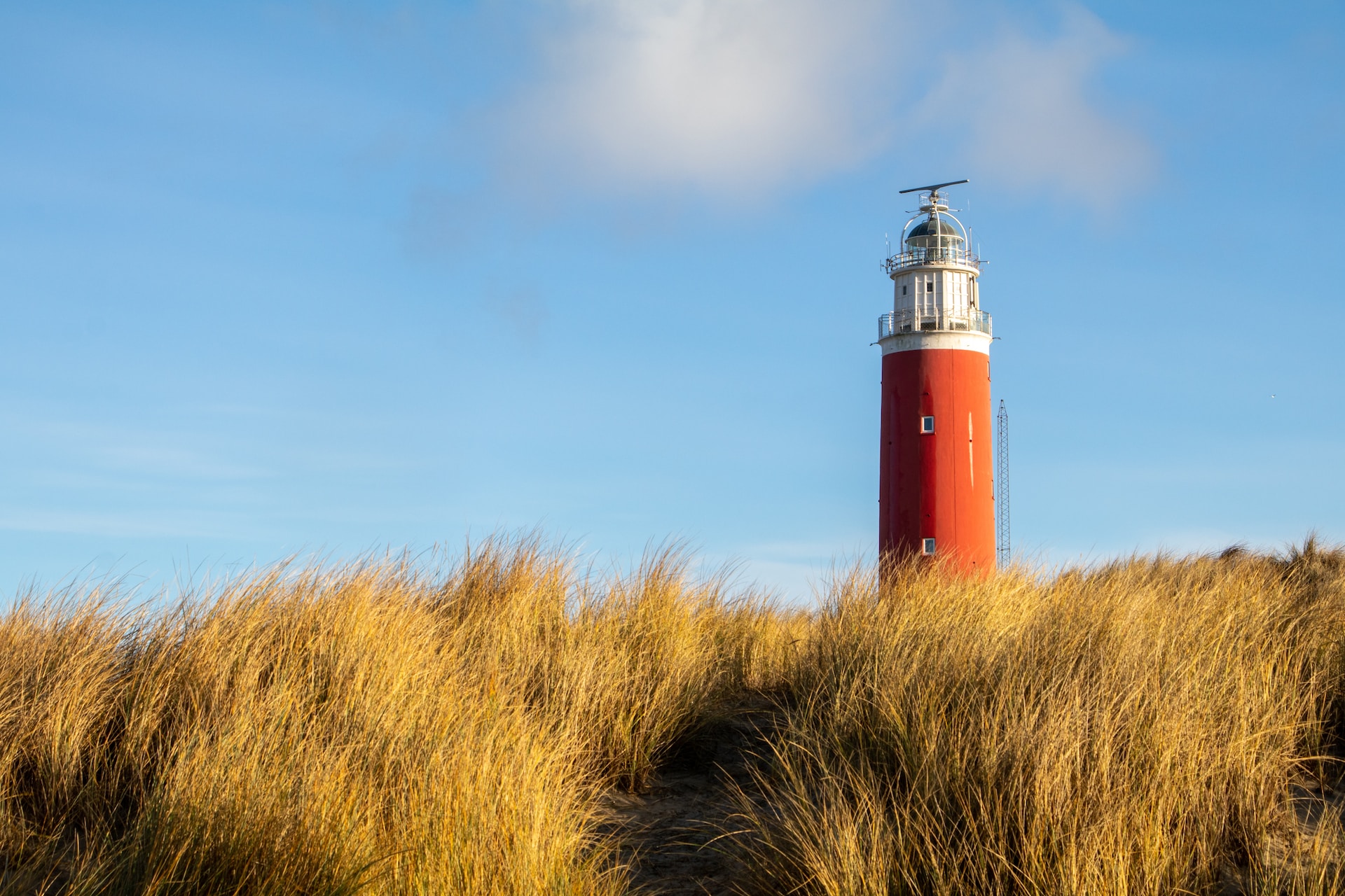 Op vakantie naar texel met je hond